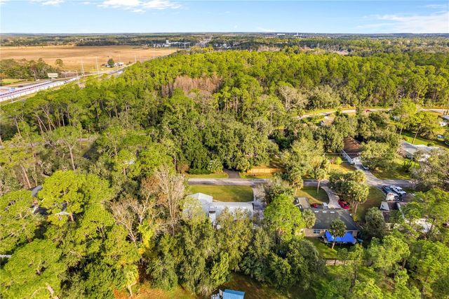 1002 PINE TREE DRIVE, Eustis, FL 32726