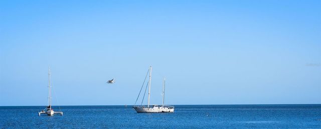 7296 NW 170TH STREET, Trenton, FL 32693