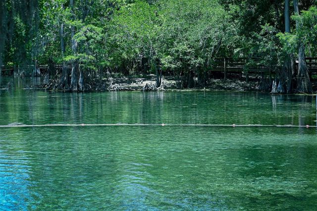 7296 NW 170TH STREET, Trenton, FL 32693