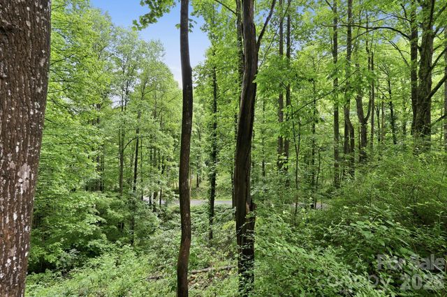 182 Saw Branch Road, Candler, NC 28715