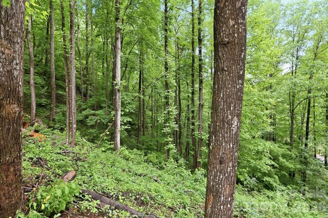 182 Saw Branch Road, Candler, NC 28715