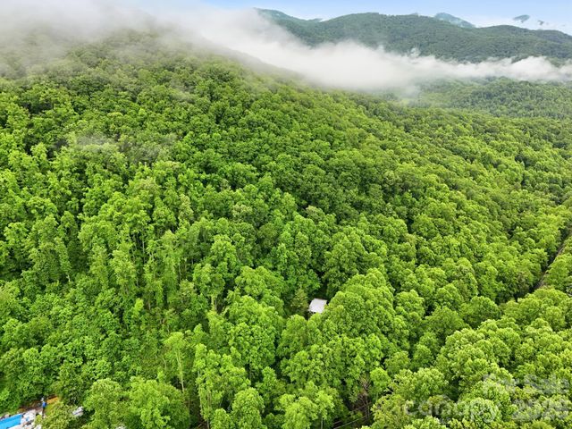 182 Saw Branch Road, Candler, NC 28715