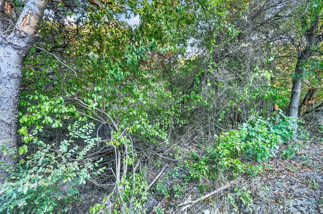 9600 Eagles Nest Court, Rio Vista, TX 76093
