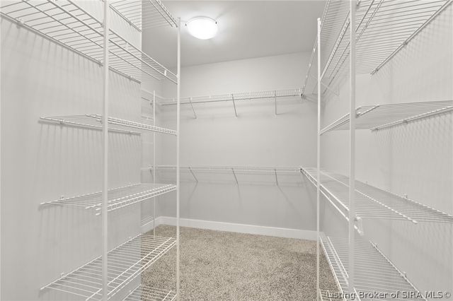 1009 Equine Avenue, Sellersburg, IN 47172