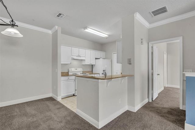 200 SOUTHERN PECAN CIRCLE 206, Winter Garden, FL 34787
