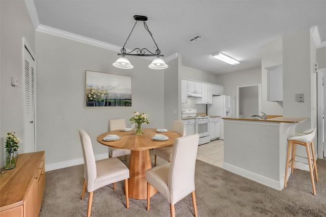 200 SOUTHERN PECAN CIRCLE 206, Winter Garden, FL 34787