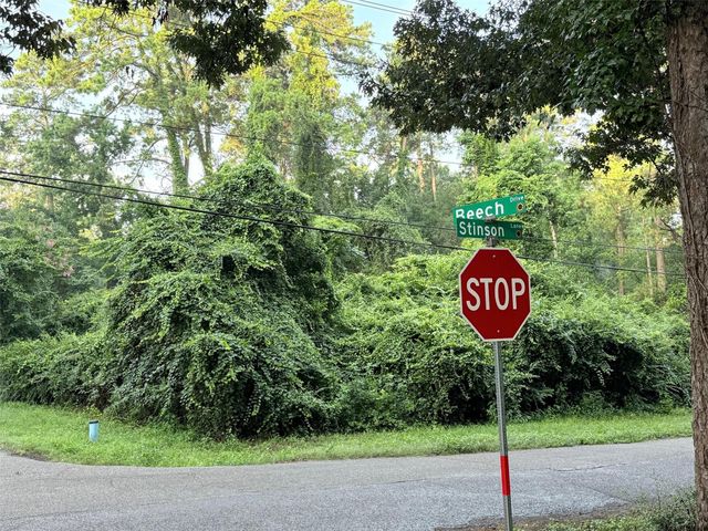 TBD Beech Drive, Montgomery, TX 77316