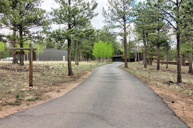 850 Hangmans Road, Bailey, CO 80421