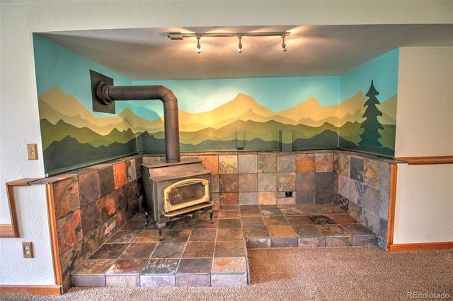 850 Hangmans Road, Bailey, CO 80421