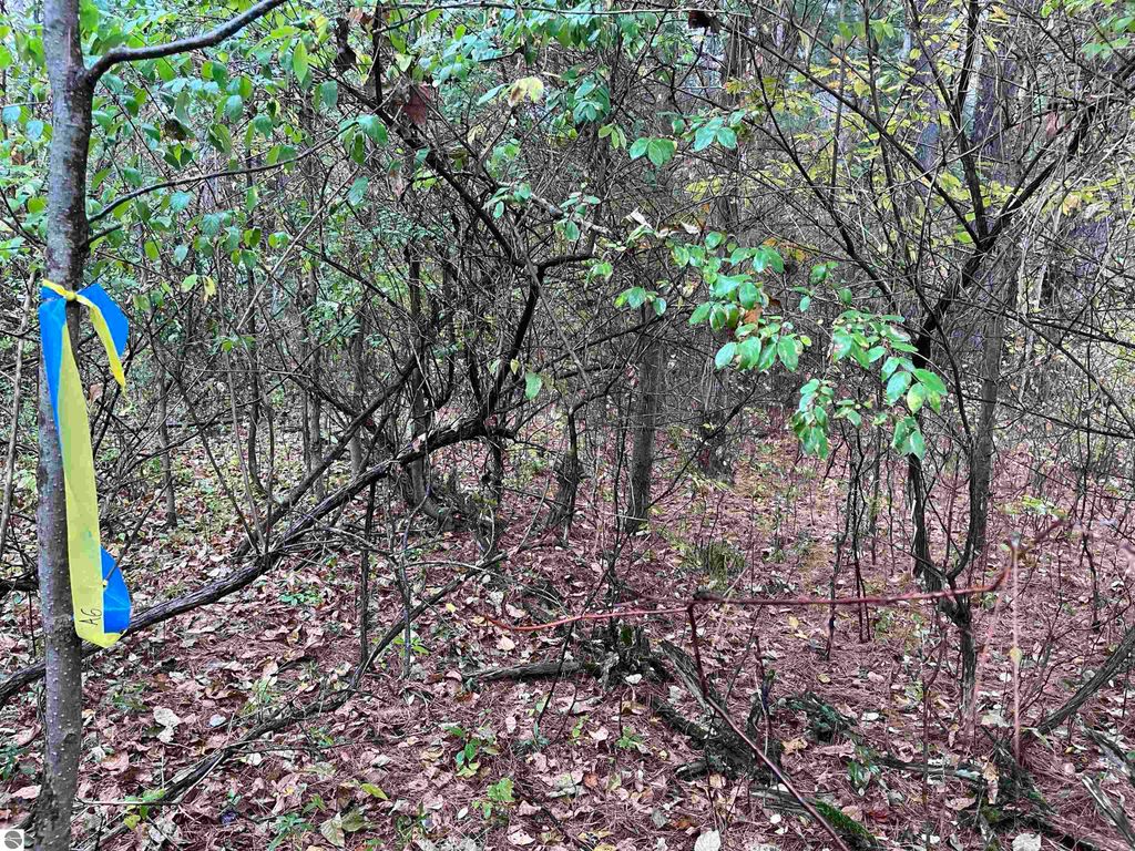 Image 1 of property listing at 35 Wilber Road, Tawas City, MI 48763