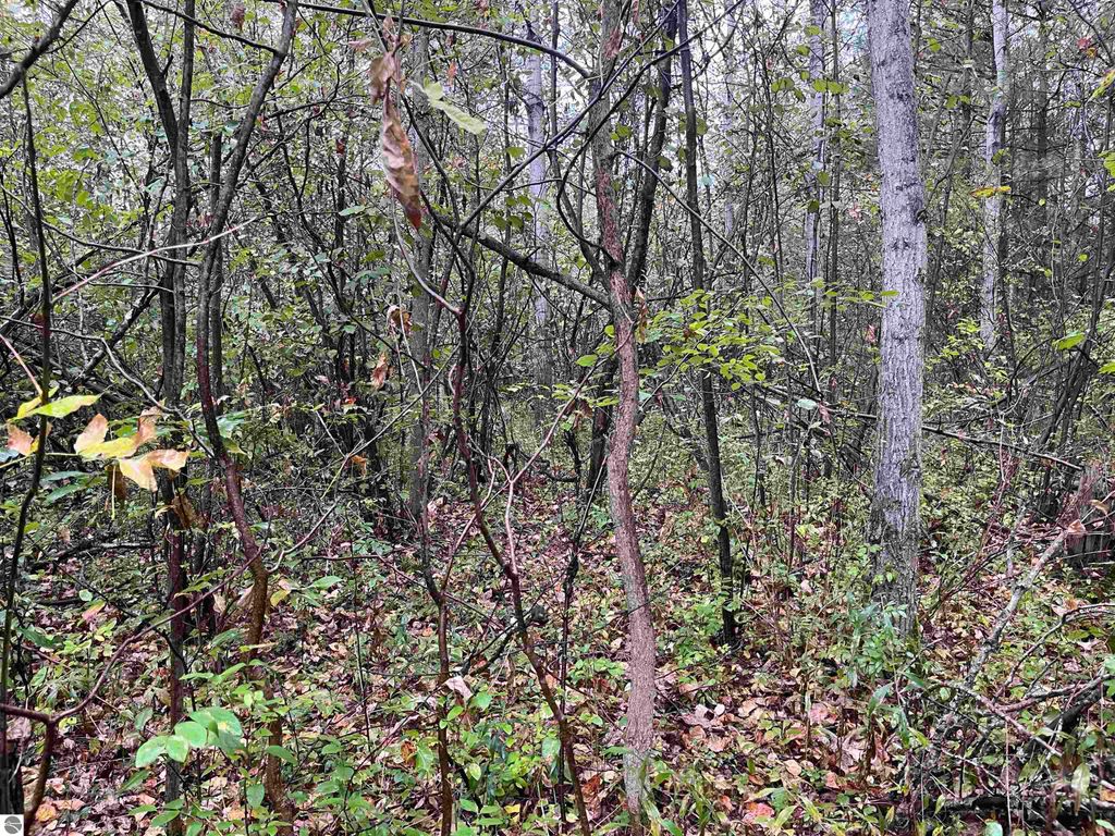 Image 2 of property listing at 35 Wilber Road, Tawas City, MI 48763