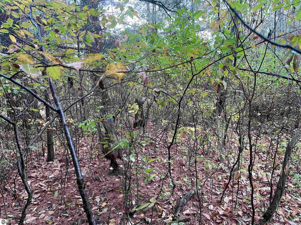 Image 3 of property listing at 35 Wilber Road, Tawas City, MI 48763