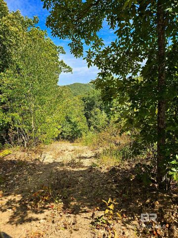 0 County Road 79, Waterloo, AL 36577
