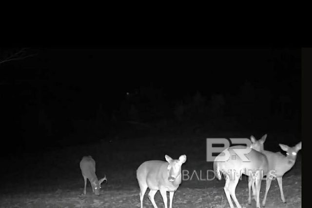 0 County Road 79, Waterloo, AL 36577