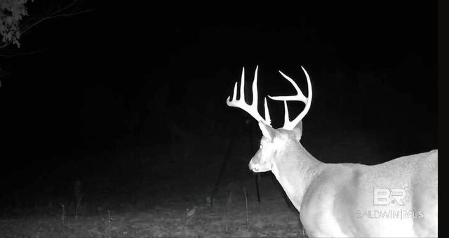 0 County Road 79, Waterloo, AL 36577