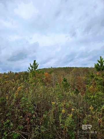 0 County Road 79, Waterloo, AL 36577