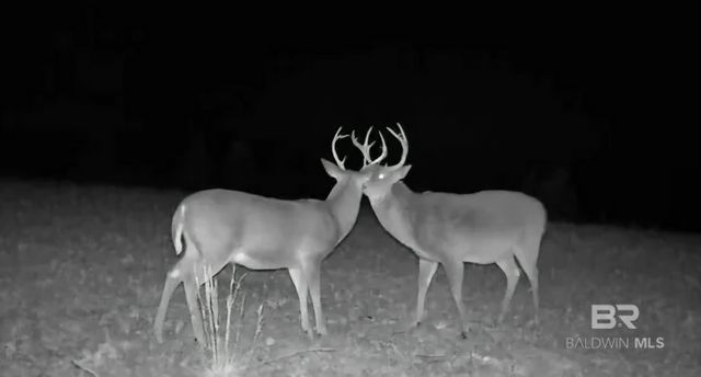 0 County Road 79, Waterloo, AL 36577