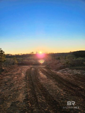 0 County Road 79, Waterloo, AL 36577