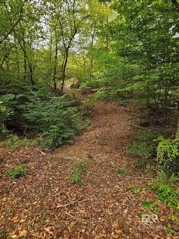 0 County Road 79, Waterloo, AL 36577