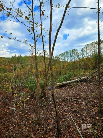 0 County Road 79, Waterloo, AL 36577