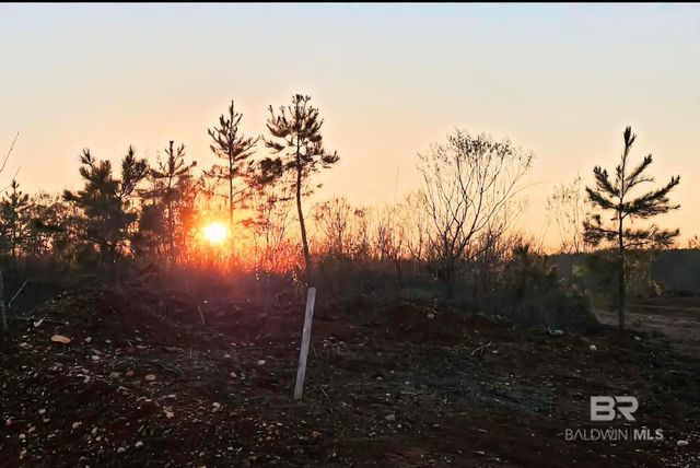 0 County Road 79, Waterloo, AL 36577