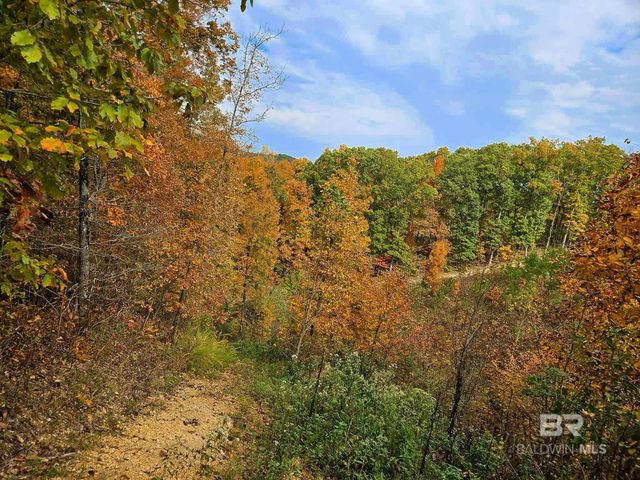 0 County Road 79, Waterloo, AL 36577
