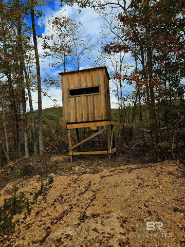 0 County Road 79, Waterloo, AL 36577