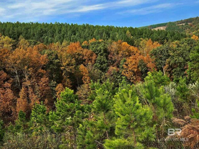 0 County Road 79, Waterloo, AL 36577