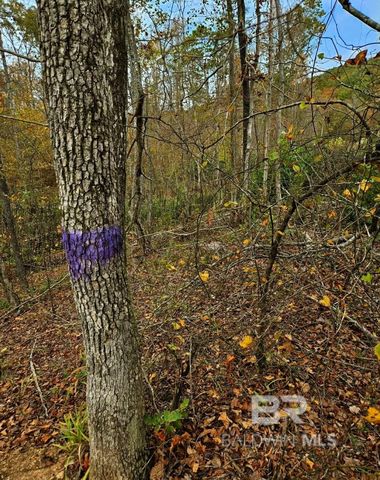 0 County Road 79, Waterloo, AL 36577