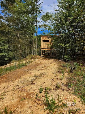 0 County Road 79, Waterloo, AL 36577