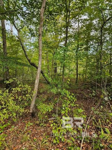 0 County Road 79, Waterloo, AL 36577