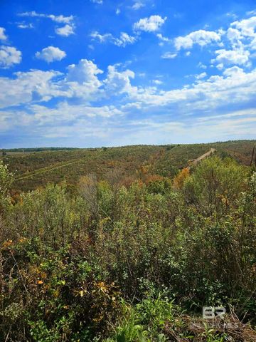 0 County Road 79, Waterloo, AL 36577