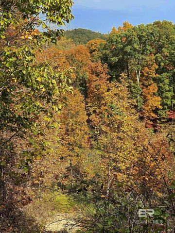 0 County Road 79, Waterloo, AL 36577