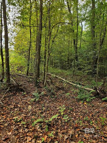 0 County Road 79, Waterloo, AL 36577