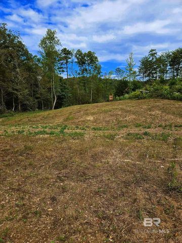 0 County Road 79, Waterloo, AL 36577