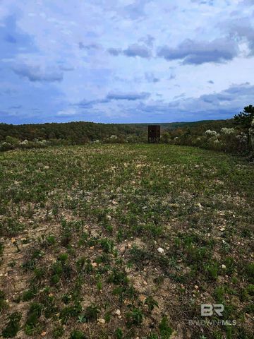 0 County Road 79, Waterloo, AL 36577
