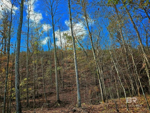 0 County Road 79, Waterloo, AL 36577
