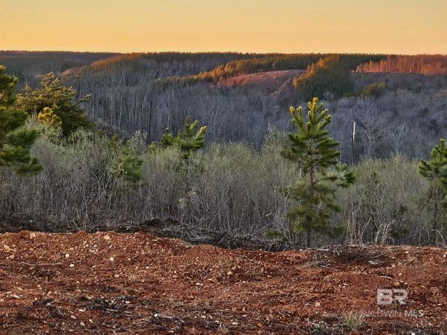 0 County Road 79, Waterloo, AL 36577