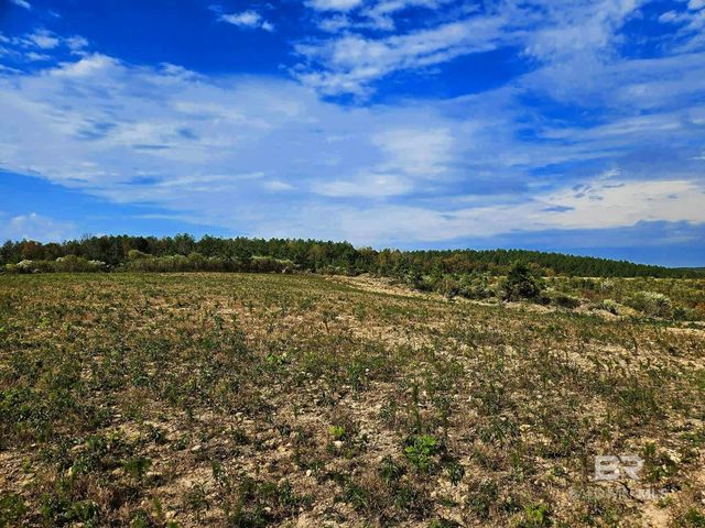 0 County Road 79, Waterloo, AL 36577