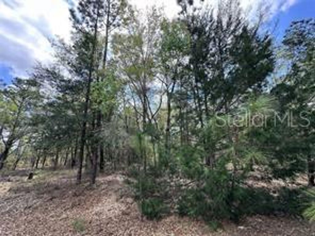 Image 1 of property listing at TBD NE 12TH LANE, Williston, FL 32696