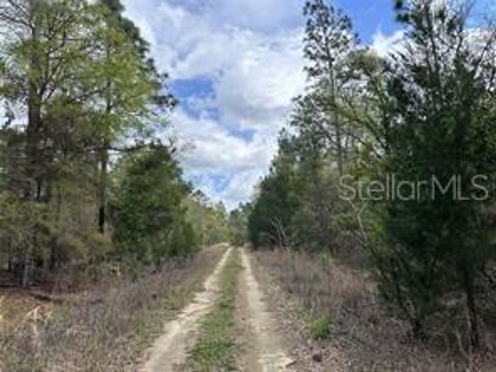 Image 2 of property listing at TBD NE 12TH LANE, Williston, FL 32696