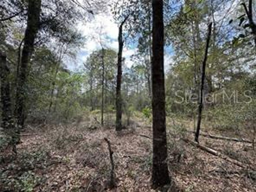 Image 4 of property listing at TBD NE 12TH LANE, Williston, FL 32696