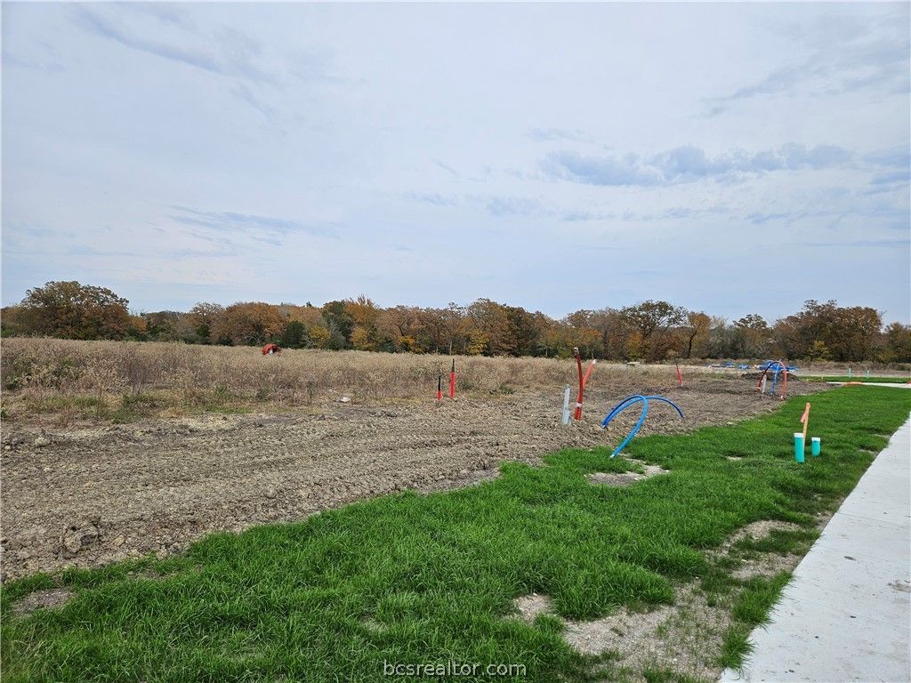 2808 Goldberg Drive, Bryan, TX 77808 — exterior