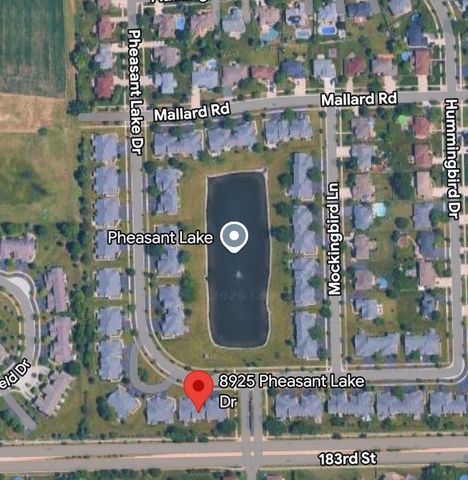 8925 Pheasant Lake Drive, Tinley Park, IL 60487