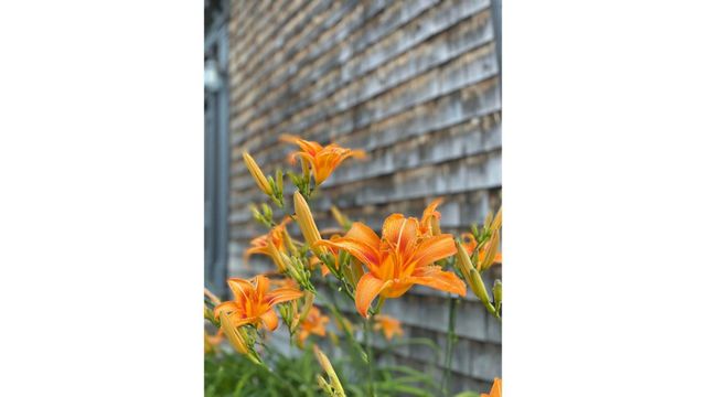 382 South Main Street, Alburgh, VT 05440