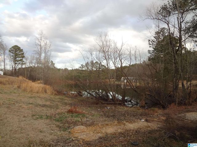 125 LAKE DRIVE, Springville, AL 35146