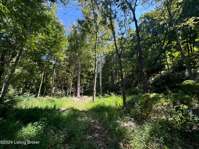 Lot 13 Rose Island Rd, Goshen, KY 40026