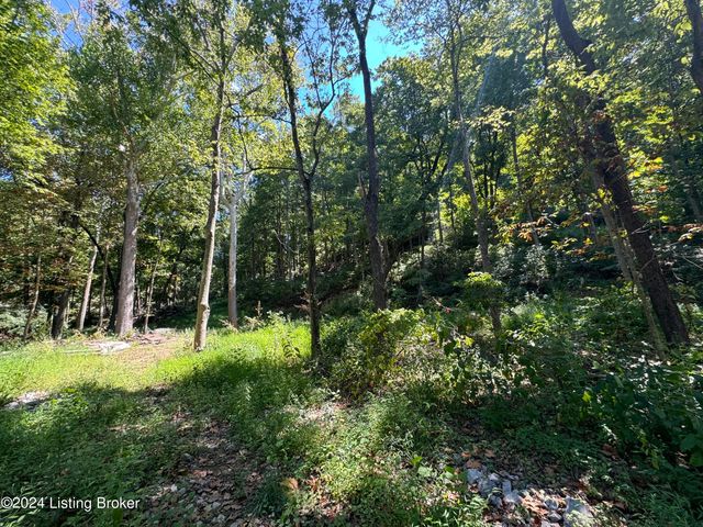 Lot 13 Rose Island Rd, Goshen, KY 40026
