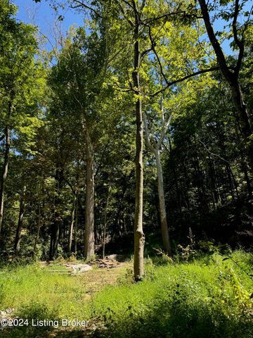 Lot 13 Rose Island Rd, Goshen, KY 40026