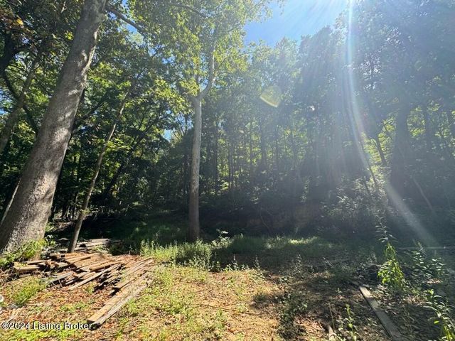 Lot 13 Rose Island Rd, Goshen, KY 40026